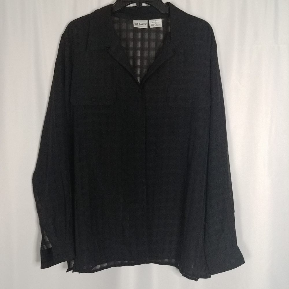 Liz Baker Sheer Blouse
